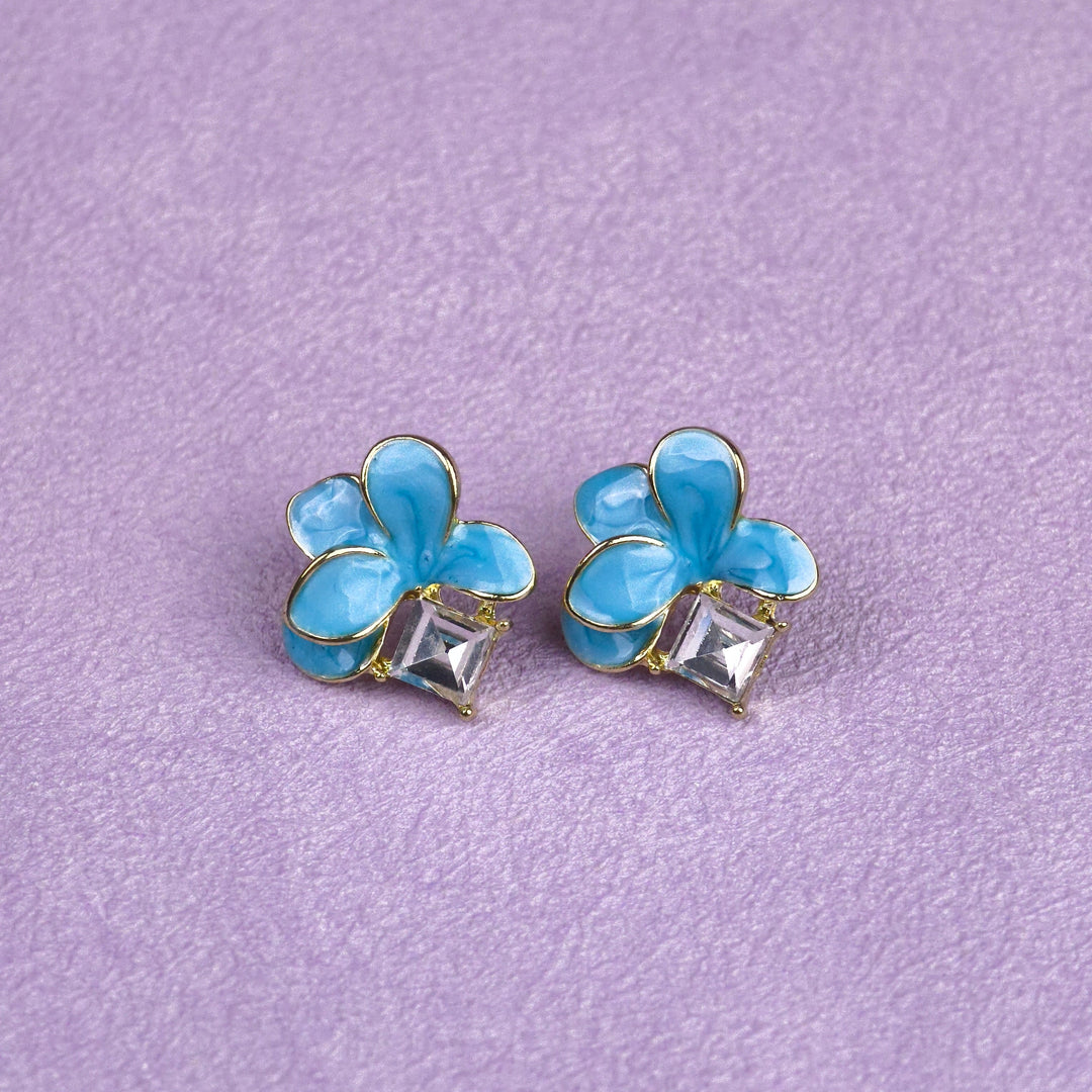 12 Earrings in Folding Box