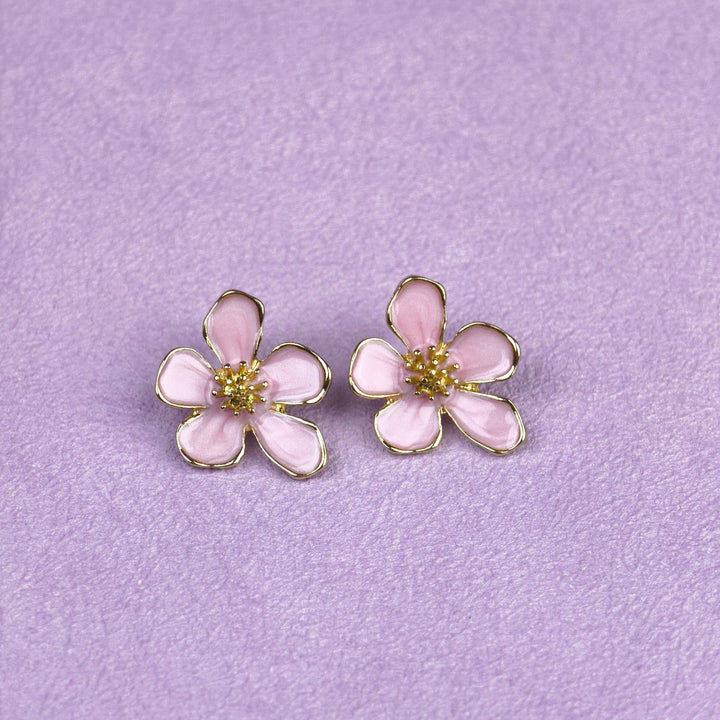 12 Earrings in Folding Box